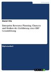 Enterprise Resource Planning. Chancen und Risiken der Einführung einer ERP Gesamtlösung