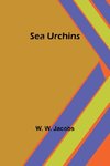 Sea Urchins