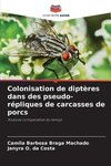 Colonisation de diptères dans des pseudo-répliques de carcasses de porcs