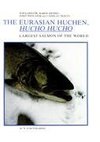 The Eurasian Huchen, Hucho hucho