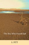 The Boy Who Found Salt