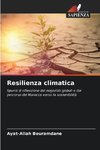 Resilienza climatica