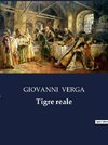 Tigre reale