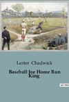 Baseball Joe Home Run King