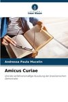 Amicus Curiae