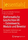 Mathematische Geschichten VII - Extremwerte, Modulo und Beweise