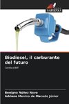 Biodiesel, il carburante del futuro