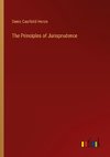 The Principles of Jurisprudence