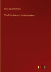 The Principles of Jurisprudence