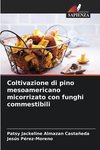 Coltivazione di pino mesoamericano micorrizato con funghi commestibili