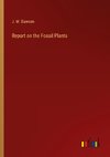 Report on the Fossil Plants