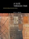 Baillie, M: Slice Through Time