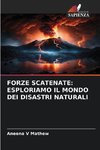 FORZE SCATENATE: ESPLORIAMO IL MONDO DEI DISASTRI NATURALI