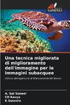 Una tecnica migliorata di miglioramento dell'immagine per le immagini subacquee