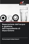 Depurazione dell'acqua e gestione dell'ingrediente di depurazione