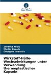 Wirkstoff-Hülle-Wechselwirkungen unter Verwendung thermoplastischer Kapseln