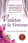 Violetas en la Ventana