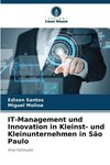 IT-Management und Innovation in Kleinst- und Kleinunternehmen in São Paulo