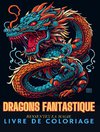 DRAGONS FANTASTIQUES