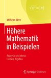 Höhere Mathematik in Beispielen