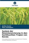 System der Reisintensivierung in den hochfeuchten Tropen von Kerala