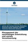 Management der nachhaltigen Entwicklung und soziale Verantwortung