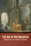 The Age of Big Business