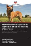 Métabolisme oxydatif et ischémie chez les chiens d'exercice