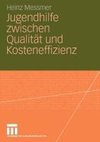 Jugendhilfe zwischen Qualität und Kosteneffizenz