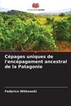 Cépages uniques de l'encépagement ancestral de la Patagonie