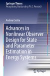 Advances in Nonlinear Observer Design for State and Parameter Estimation in Energy Systems