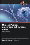 Mimosa Pudica, precursore del carbone attivo