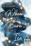 When We Burn Like Ice