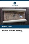 Biobío Süd Mündung