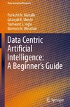 Data Centric Artificial Intelligence: A Beginner¿s Guide