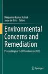 Environmental Concerns and Remediation