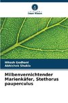 Milbenvernichtender Marienkäfer, Stethorus pauperculus