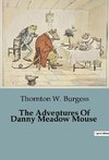 The Adventures Of Danny Meadow Mouse