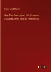 How They Succeeded: Life Stories of Successful Men Told by Themselves