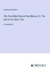 The Pony Rider Boys in New Mexico; Or, The End of the Silver Trail