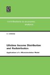 Lifetime Income Distribution and Redistribution