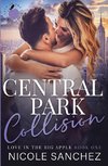 Central Park Collision