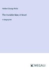 The Invisible Man; A Novel