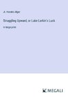 Struggling Upward, or Luke Larkin's Luck