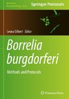 Borrelia burgdorferi