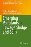 Emerging Pollutants in Sewage Sludge and Soils