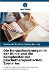 Die Herausforderungen in der Klinik und die Komplexität des psychotherapeutischen Szenarios