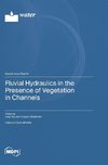 Fluvial Hydraulics in the Presence of Vegetation in Channels