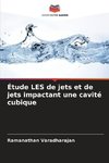 Étude LES de jets et de jets impactant une cavité cubique