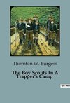 The Boy Scouts In A Trapper's Camp